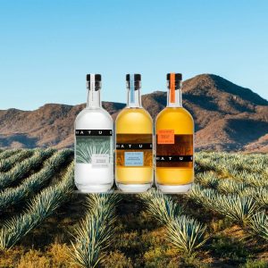 Best Casamigos Tequila For A Any Fiesta | ShopSK
